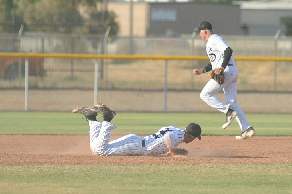 Seals_2019-08-21 (378).JPG - (c)2010 DeVetter